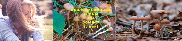 дурь Фёдоровский