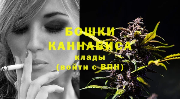 бутират Анива
