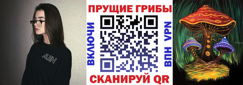 Псилоцибиновые грибы мухоморы  купить  цена  Великий Устюг 