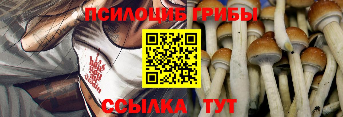 Псилоцибиновые грибы Cubensis  Великий Устюг  Галлюциногенные грибы Psilocybine cubensis 