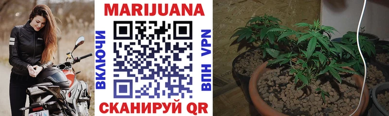 МАРИХУАНА LSD WEED Великий Устюг